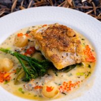Restaurant Le Comptoir - Casino JOA © Amaury Bolteau